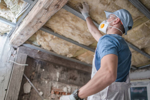 Types of Insulation We Offer in Bell Gardens, CA