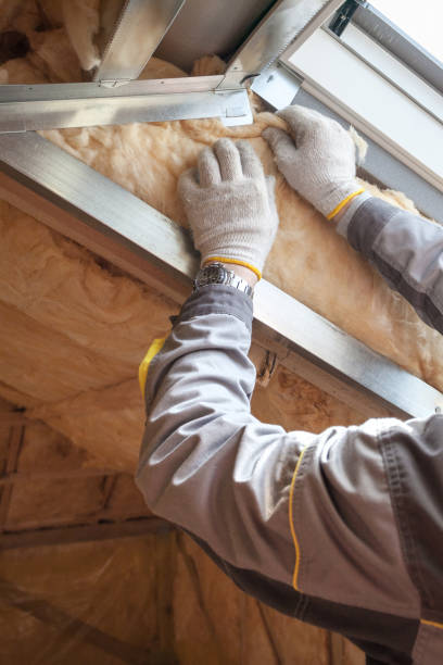 Best Eco-Friendly Insulation in Bell Gardens, CA